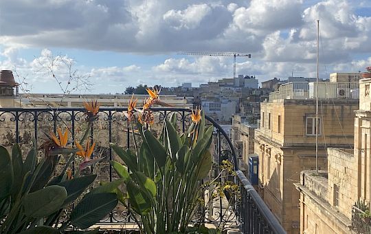 Marietta Strasoldo Garden Design - High Over Malta - Main Gallery - dopo_terasse_4.jpeg
